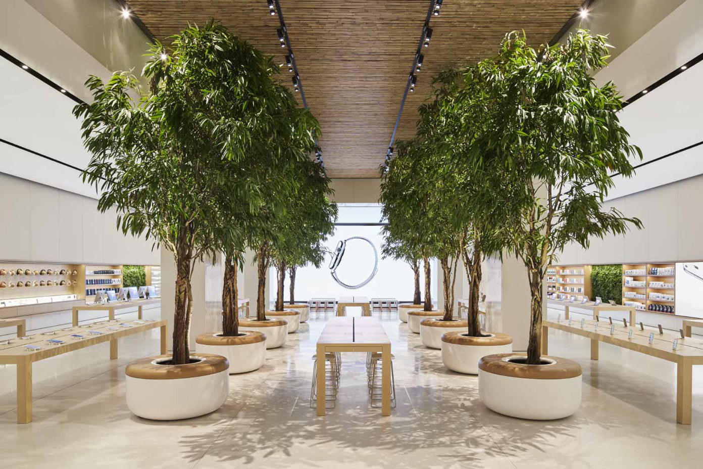 Apple Mall of the Emirates picture