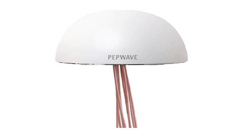 IP67 Dome Omnidirectional Dual MIMO LTE Antenna IP67 Dome Omnidirectional Dual MIMO LTE Antenna