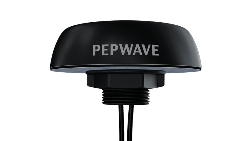 Peplink Puma 020 Peplink Puma 020