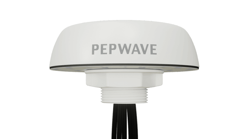 Peplink Puma 221 Peplink Puma 221