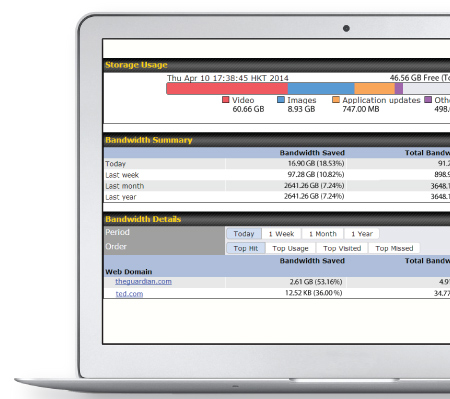Reporting in Peplink devices