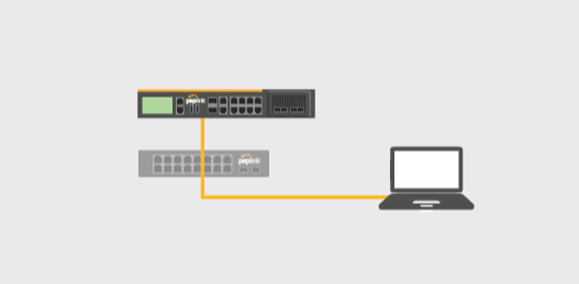 Peplink Switch combo ports Peplink Switch combo ports