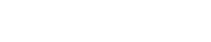 VGate Networks Logo